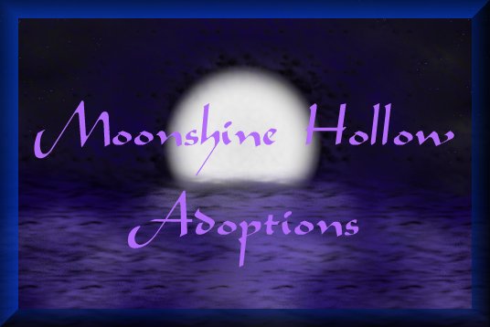 Moonshine Hollow Adoptions