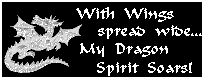 My Dragon Spirit Soars